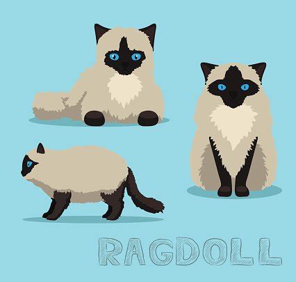 Ragdolls Clip Art Library