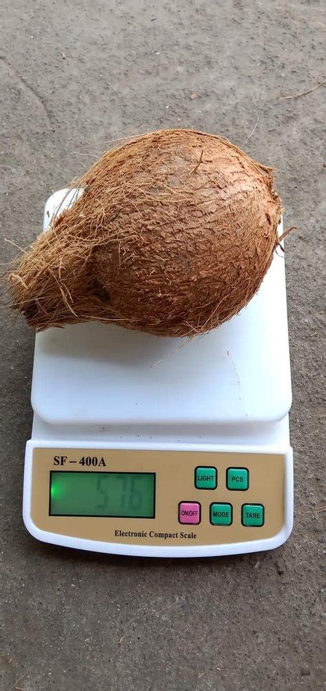 A Grade Pollachi Semi Husked Coconut Packaging Size Kg Coconut