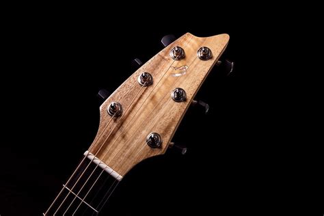 Acoustic Guitar Tonewoods — Do They Matter Insync