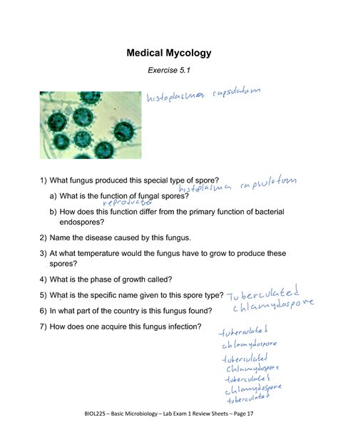 Lab Exam Review 1 BM W21 52a5fdf371b3c5a91024 Bbccd 07c7fe4 Copy 8