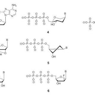 Chemical Structures Of Nucleoside Analogues Substituted Datp