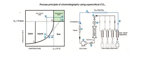 Supercritical_Fluid_Chromatography - Analytical Solutions