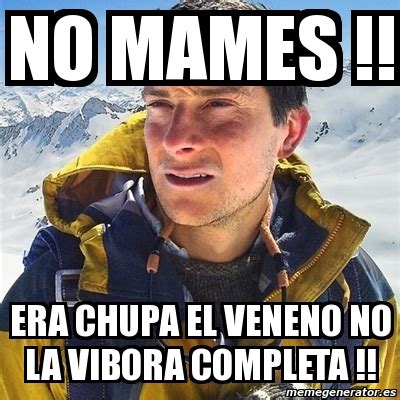 Meme Bear Grylls No Mames Era Chupa El Veneno No La Vibora