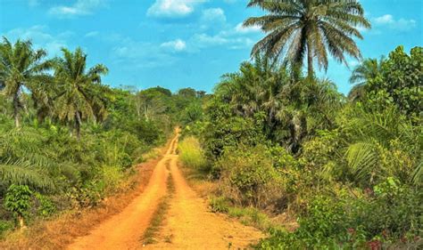 Discovering Sierra Leone S Natural Treasures National Parks Worth