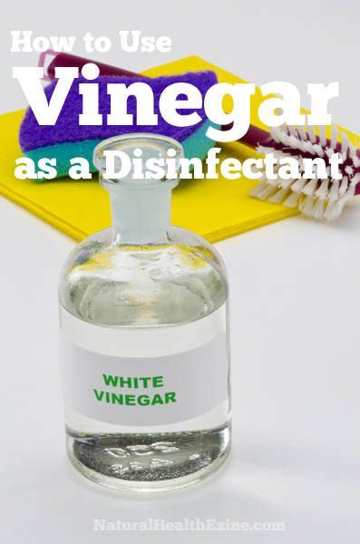 How To Use Vinegar As A Disinfectant Cleaning Household Diy Natural