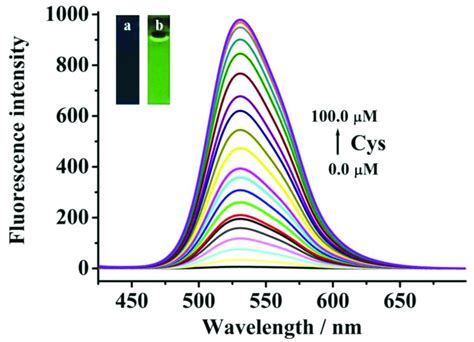 Fluorescence Spectra Of Probe M Upon The Addition Of Cys