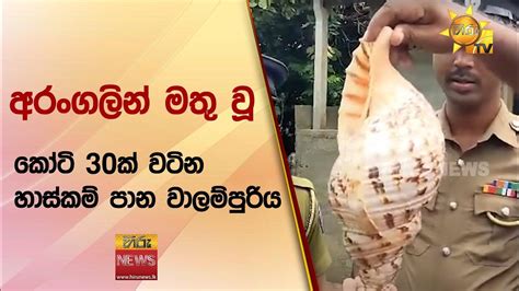 අරංගලින් මතු වූ කෝටි 30ක් වටින හාස්කම් පාන වාලම්පුරිය Hiru News Youtube