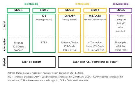 14 04 2018 Asthma Stufentherapie Nach Den Neuen Deutschen DGP