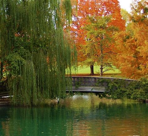 Loose Park Is A Beautiful Place On A Sunny Fall Day In Kansas City