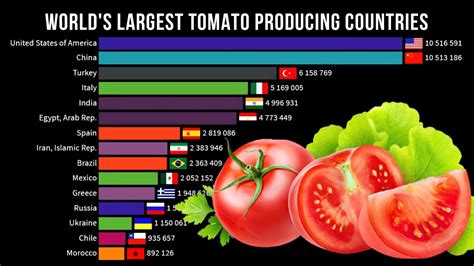 Tomato Production By Country Top Tomato Producing Countries