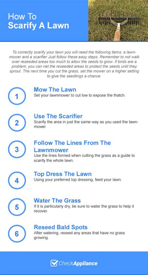 How To Use A Lawn Scarifier - Check Appliance