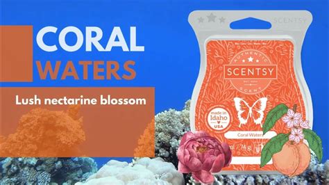 Coral Waters Scentsy Wax Bar Fragrance Description Youtube