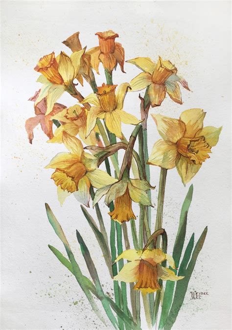 Daffodils. Spring flowers. Botanical painting. Watercolour by Natalia Veyner | Artfinder