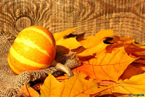 Autumn Pumpkin Facebook Cover