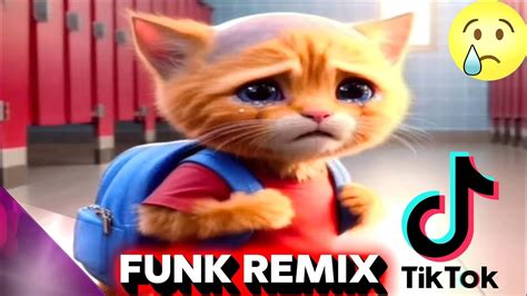 Miau Miau Miau Gatinho Triste Sad Funk Remix Sr Robin Youtube