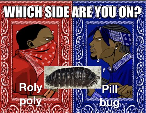 Red gang stand up | /r/memes | Which Side Are You On / Bloods vs. Crips ...