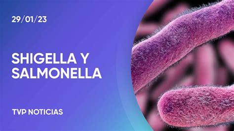 Shigella Y Salmonella C Mo Evitar Las Bacterias Youtube