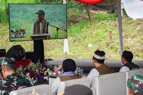 Ppid Kementrian Lingkungan Hidup Dan Kehutanan Penanaman Pohon