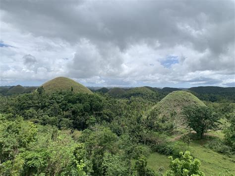 Bohol Diving in 2023 - Essential Guide