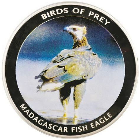 Malawimadagascarfisheagle