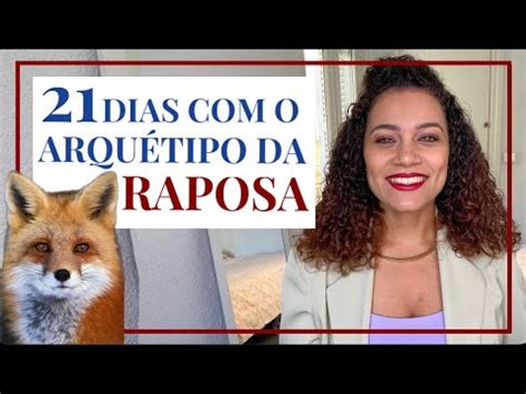 Arqu Tipo Da Raposa Minha Experi Ncia Caracter Sticas Gerais Do Lado