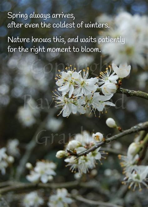 Spring Always Arrives - Inspirational Card