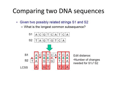 Ppt Biostatistics Lecture 15 High Throughput Sequencing And Sequence Alignment Powerpoint