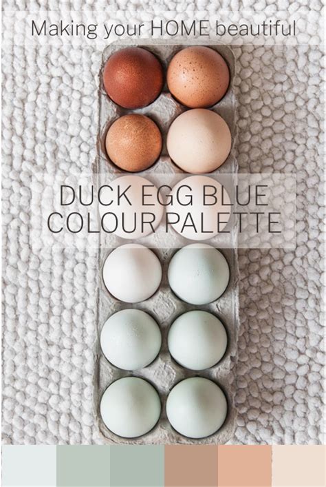 What Colours Go Well With Duck Egg Blue Psoriasisguru