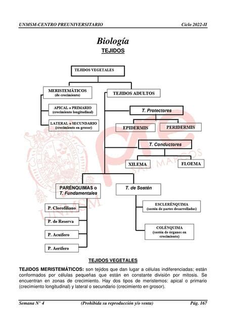 Biología Sofía uDocz