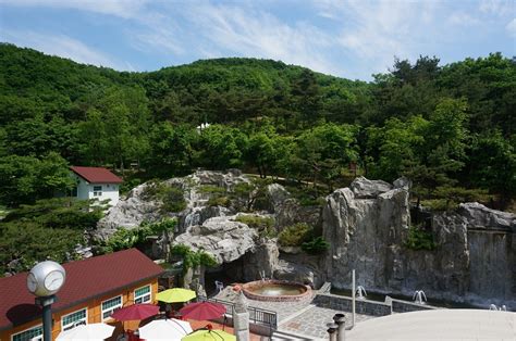 로만바스 경기도 용인시 처인구 가볼만한곳 관광지랭킹