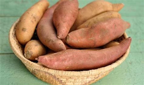 Benefícios Da Batata Yacon - Benefícios da Batata Yacon - Para Que Serve e Dicas - MundoBoaForma