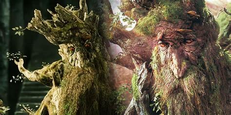 What is Fangorn Forest in The Lord of the Rings?