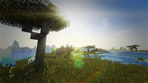 The Best Minecraft Shaders Camoas