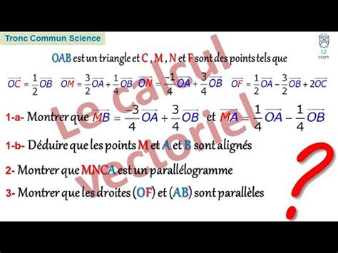 EXERCICE SUR LE CALCUL VECTORIEL Niveau TRONC COMMUN SCIENCE BIOF YouTube