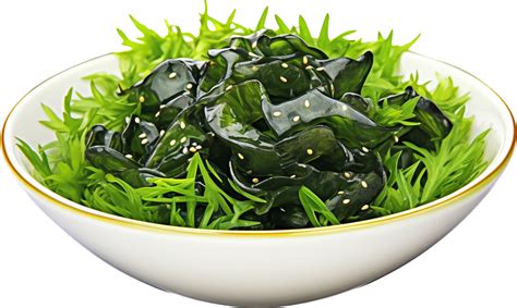 Seaweed Png With Ai Generated 26758528 Png