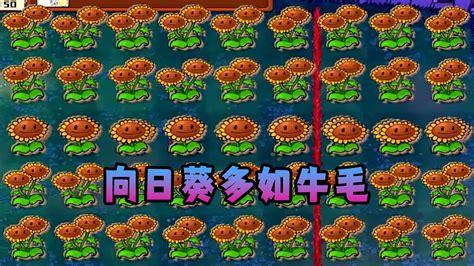 【植物大戰僵尸】向日葵多如牛毛！ Youtube