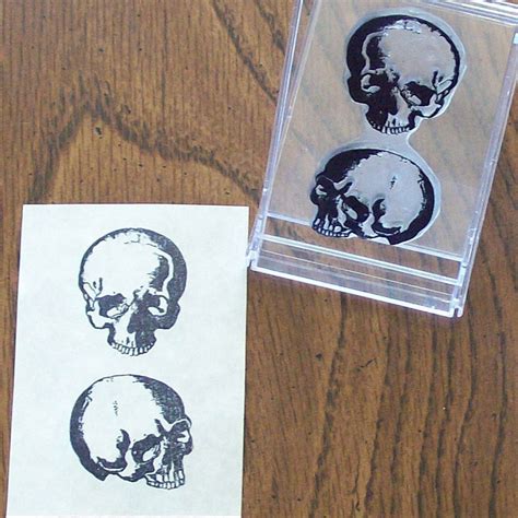 Anatomical Skulls Human Anatomy Medical Illustration Rubber Etsy