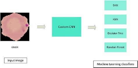 Cnn Ml Classifier Model Download Scientific Diagram