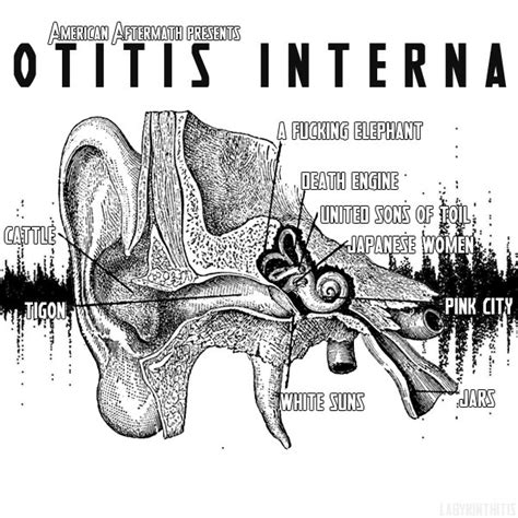 Otitis Interna | American Aftermath