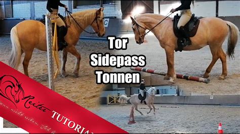 Tor Sidepass 3er Tonnen Working Equitation Trainingseinblicke