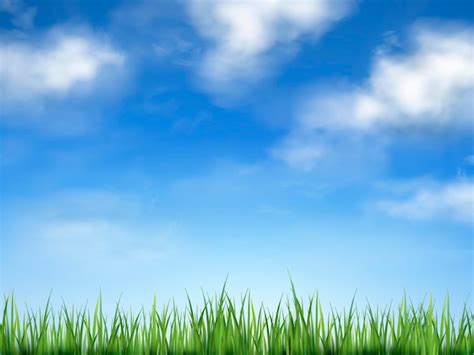 Premium Vector Blue Sky And Field Of Green Grass
