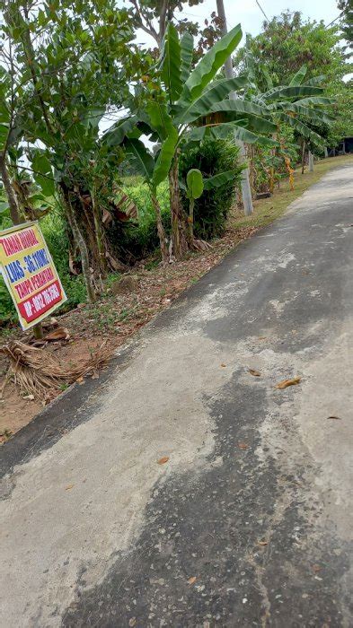 Tanah Di Jual Palembang Lokasi Macan Kumbang Demang Lebar Daun IDRumah