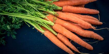 Carottes cuites à létuvée facile découvrez les recettes de Cuisine