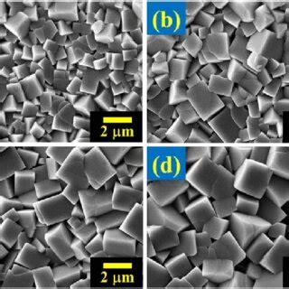 The FE SEM Micrographs With As Sintered Surfaces Of The BNKT 0 01ZnO