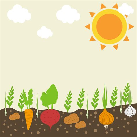 Vegetables Garden 202992 Vector Art At Vecteezy