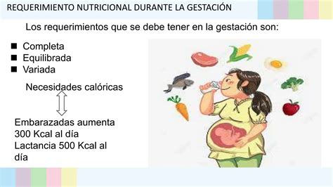 Requerimiento Nutricional Seminario Pptx