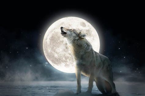 The First Full Moon Of 2024—the ‘full Wolf Moon—will Soon Rise But