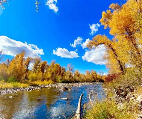 Fall in Utah- 12 Places to Enjoy Utah Fall Colors in 2023