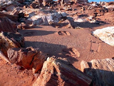 Dinosaur Footprints Broome Stock Photos - Free & Royalty-Free Stock ...