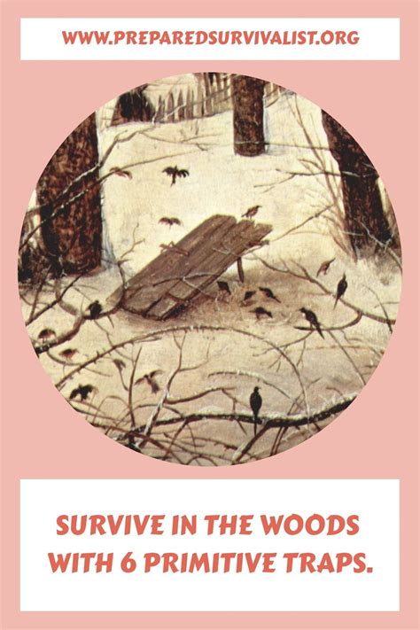 6 Primitive Survival Traps For In The Woods Artofit